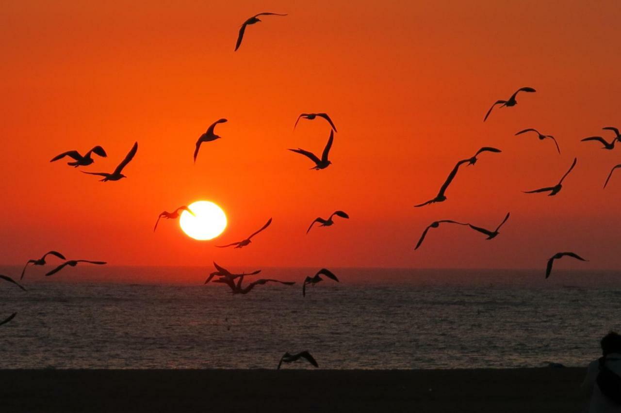 Serenabeach Nazaré Buitenkant foto